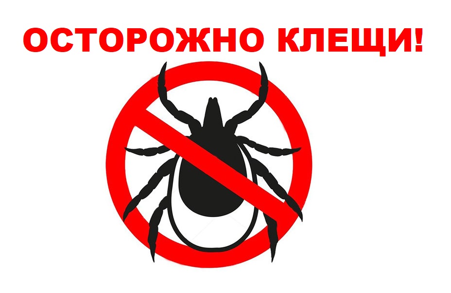 ОСТОРОЖНО, КЛЕЩИ!!! памятка-рекомендация ОСТОРОЖНО, КЛЕЩИ!!! памятка-рекомендация