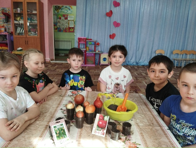 Огород на подоконнике