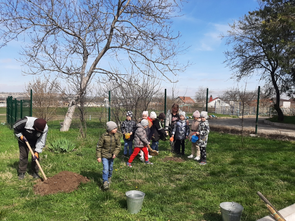 Акция "Посади своё дерево жизни"