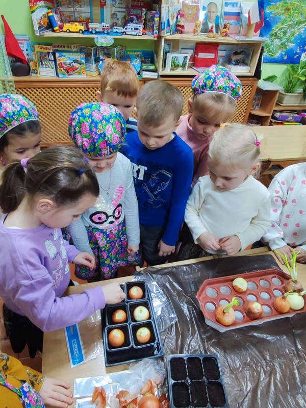 Проект "Чудо огород на окне" сред. гр. "Затейники"