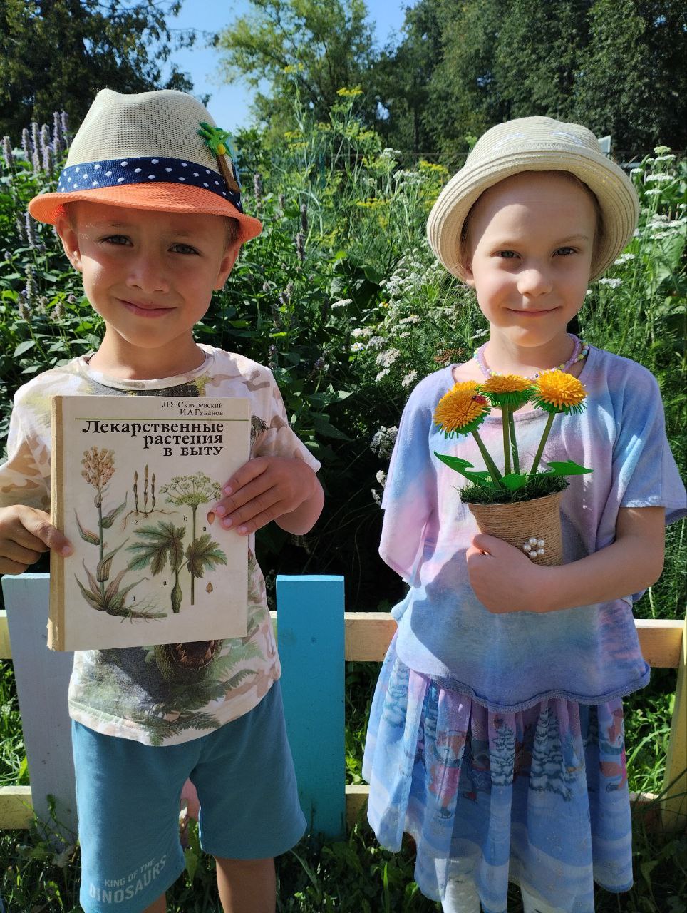 Изучаем лекарственные растения