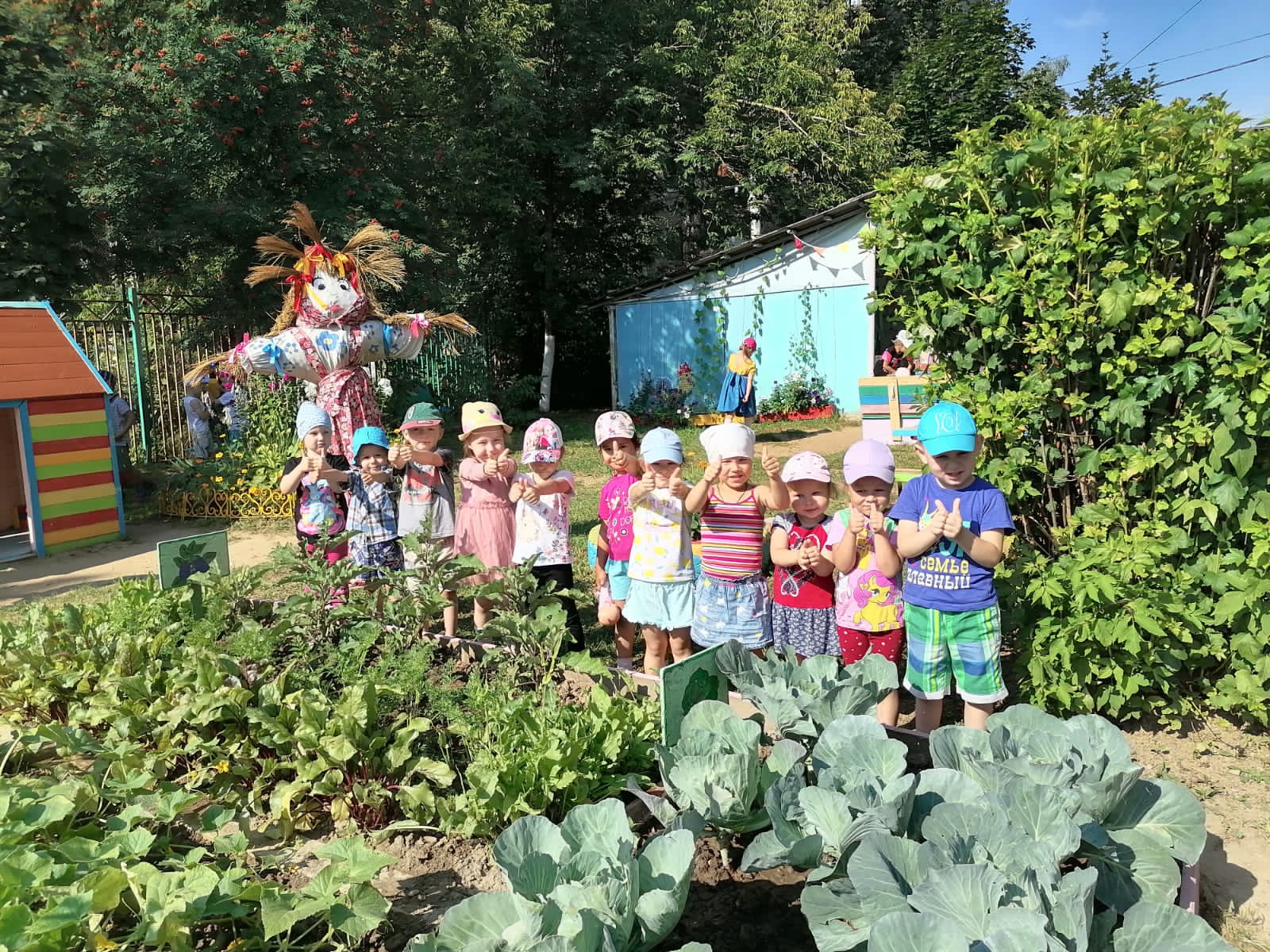 Собираем урожай