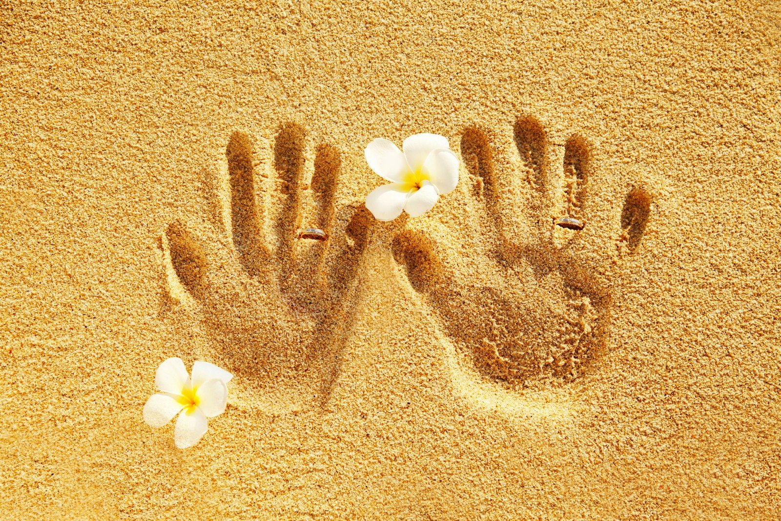 Тайны подводного мира