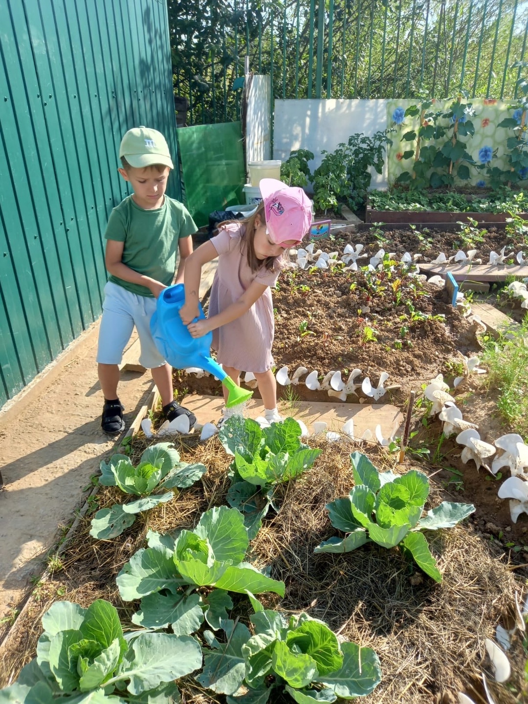 «Аптекарская грядка» и огород детского сада