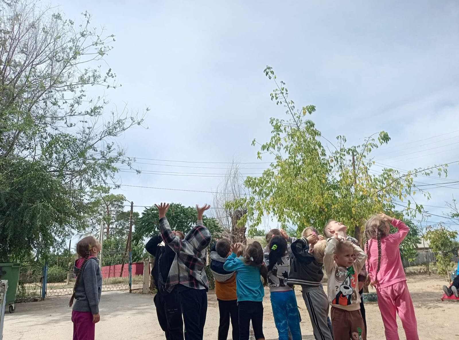 «Мы по садику гуляли, за природой наблюдали» 