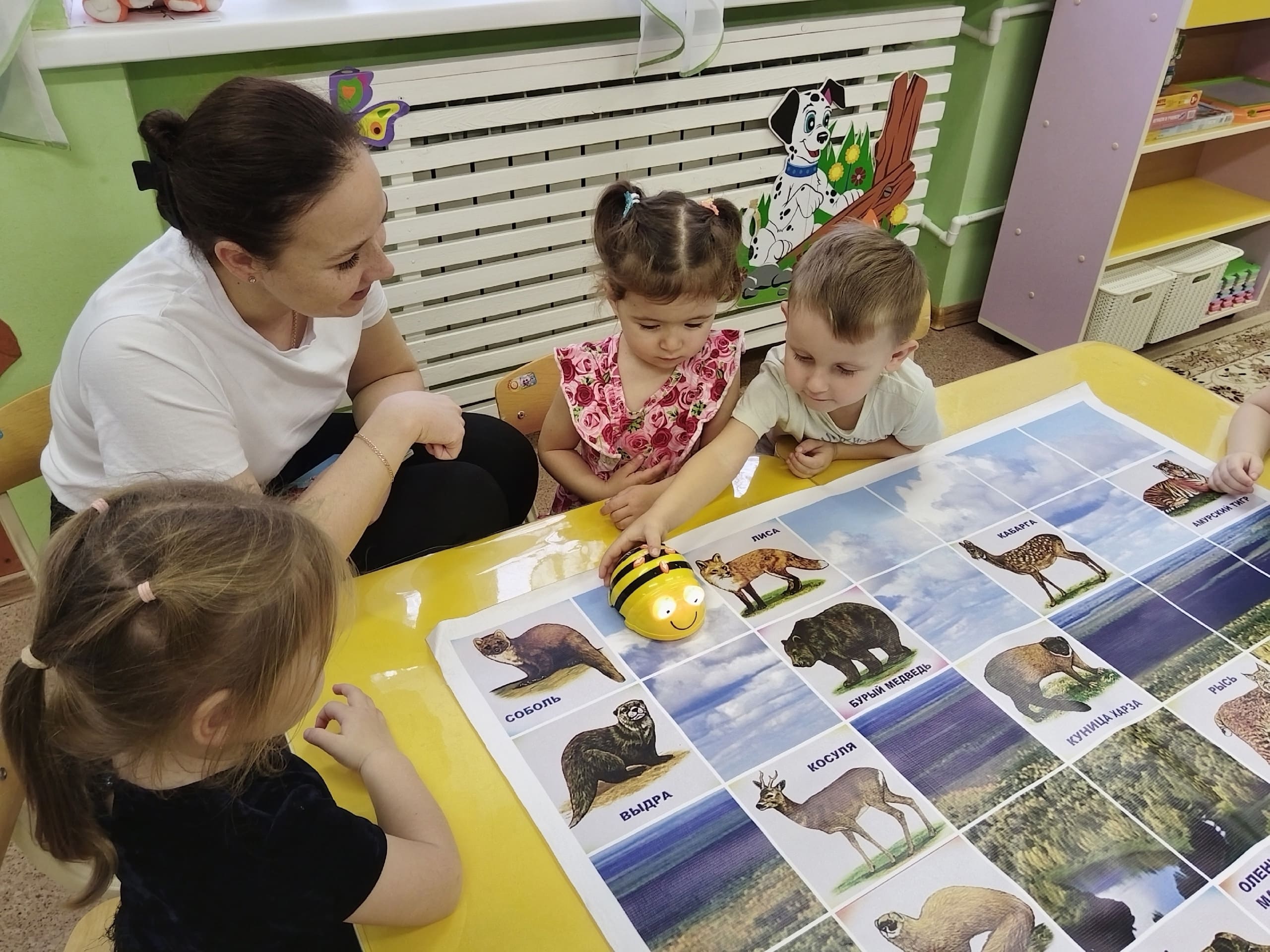 Изучение животного мира с ЛогоРоботом Bee-Bot "Умная пчела"