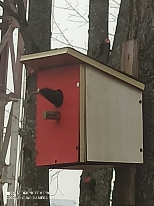 1 апреля - Международный день птиц