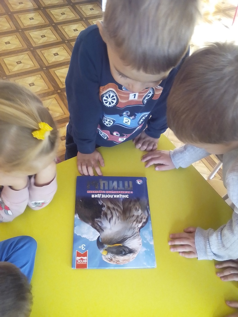 Ребята закрепили знания о птицах