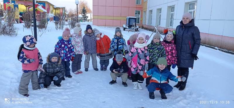 Столовая для птиц