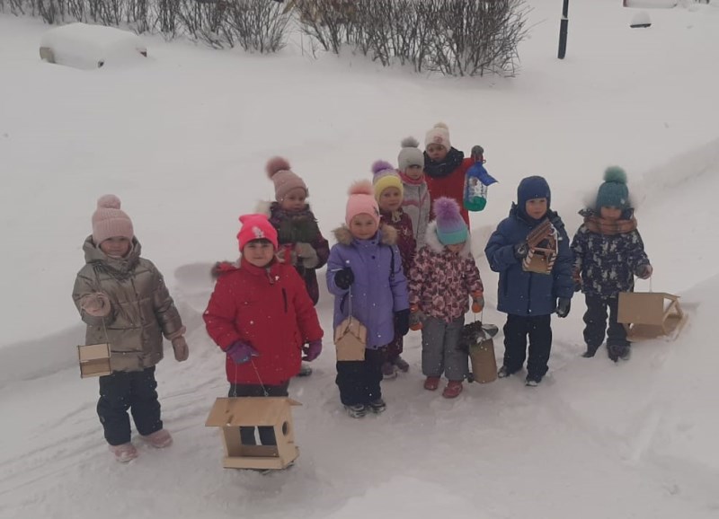 «Покорми птиц зимой»