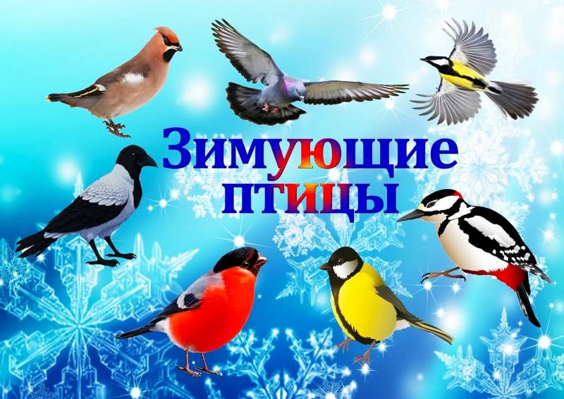 Зимующие птицы