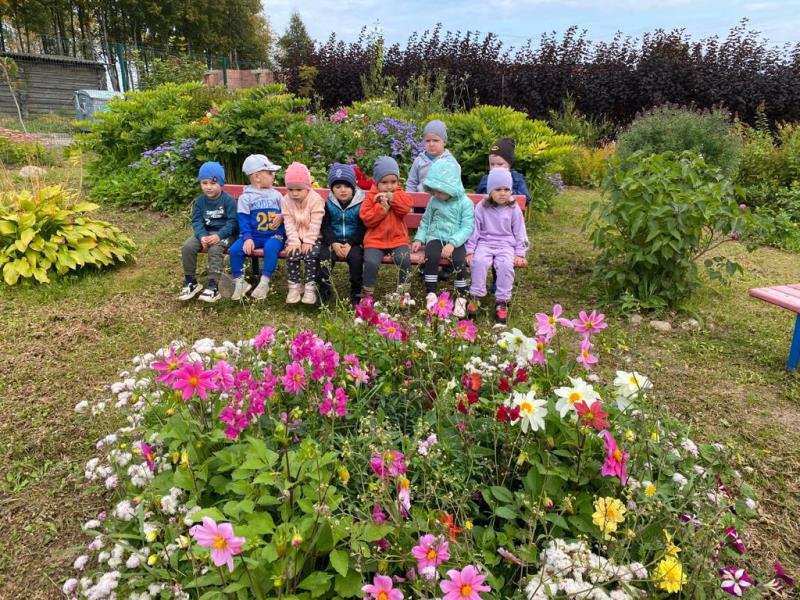 В поисках осенних красок