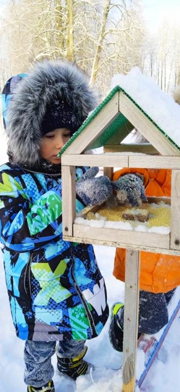 Акция «Покорми птиц зимой»