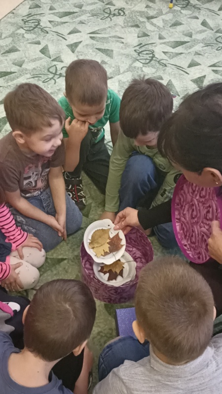 Интегрированное занятие "Поздняя осень"