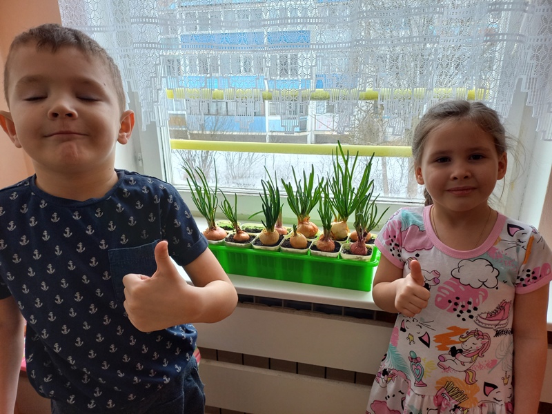  "Выращивание лука" в группе №6 "Лучики"