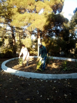 Экологический субботник "Чистый Крым"