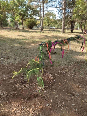 Праздник дерева