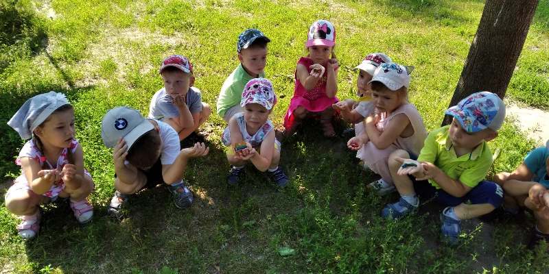 "Мир насекомых"