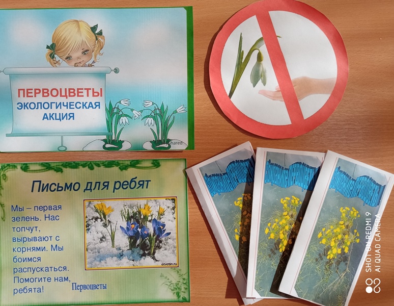 День подснежника в группе "Солнышко"