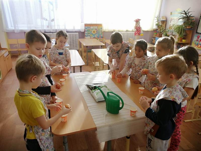 Маленькие исследователи гр. «Лесовичок»