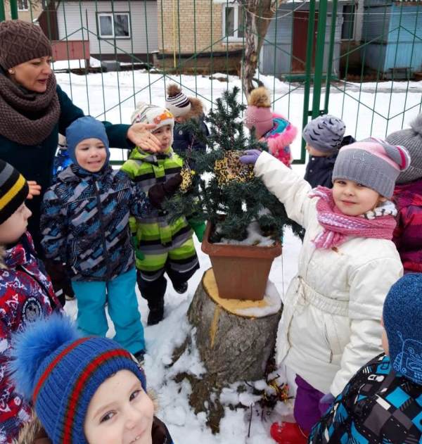 Поможем зимующим птицам
