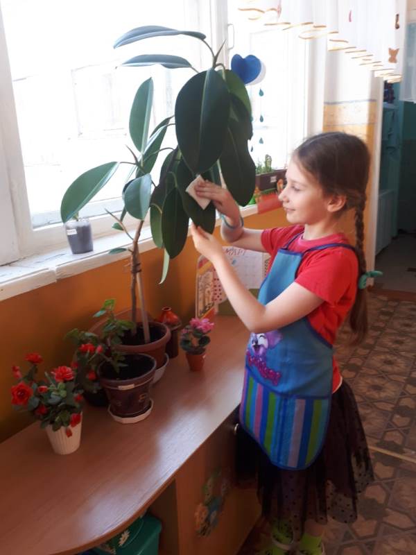 Работа в уголке природы Работа в уголке природы