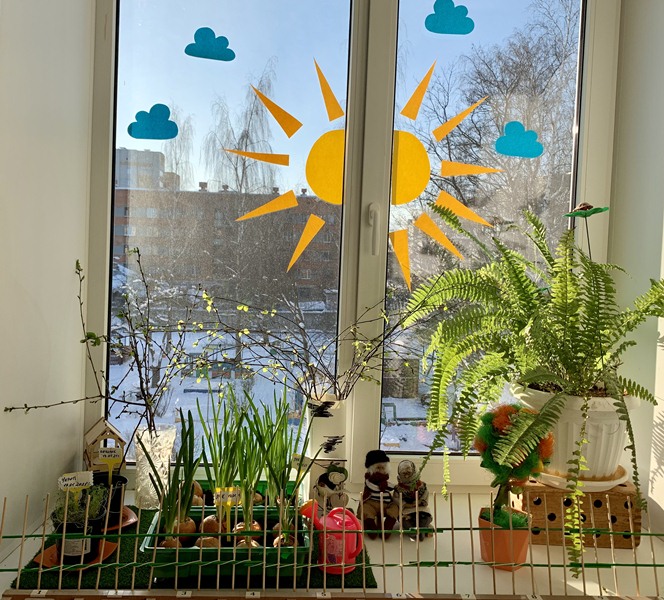 Огород на окошке