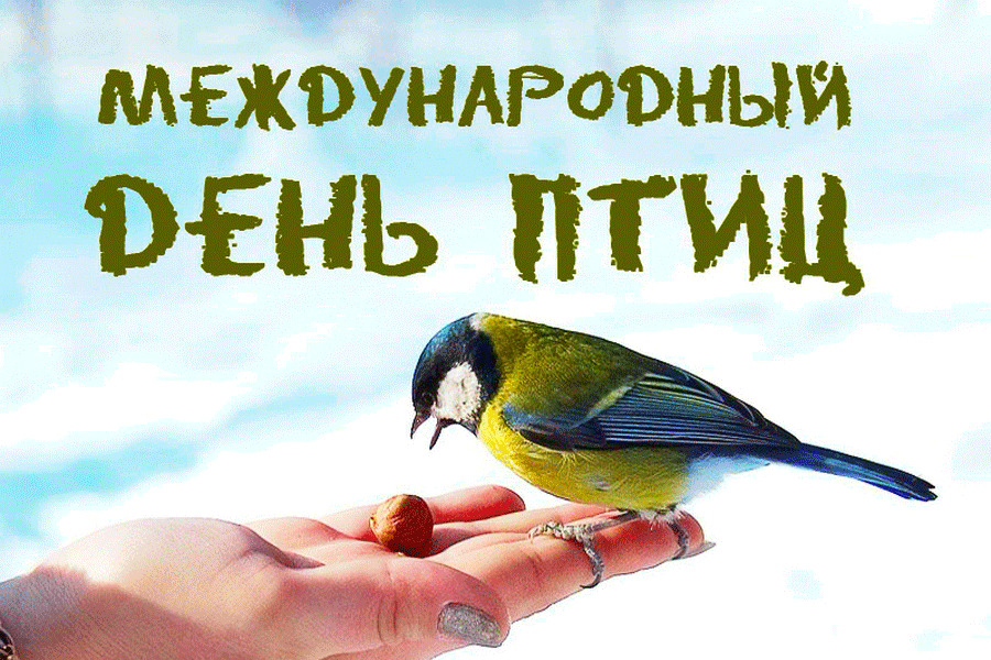Международный день птиц
