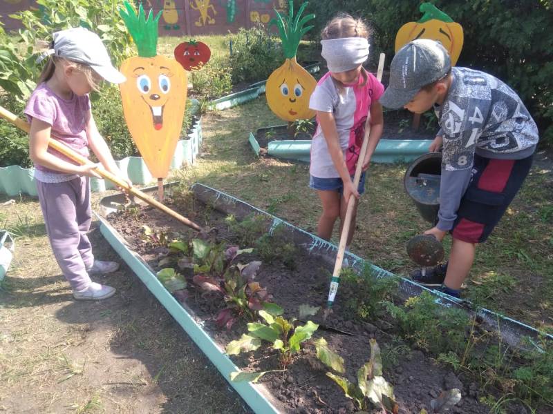 День фруктов и овощей