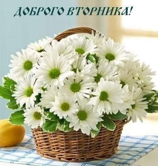 День природы