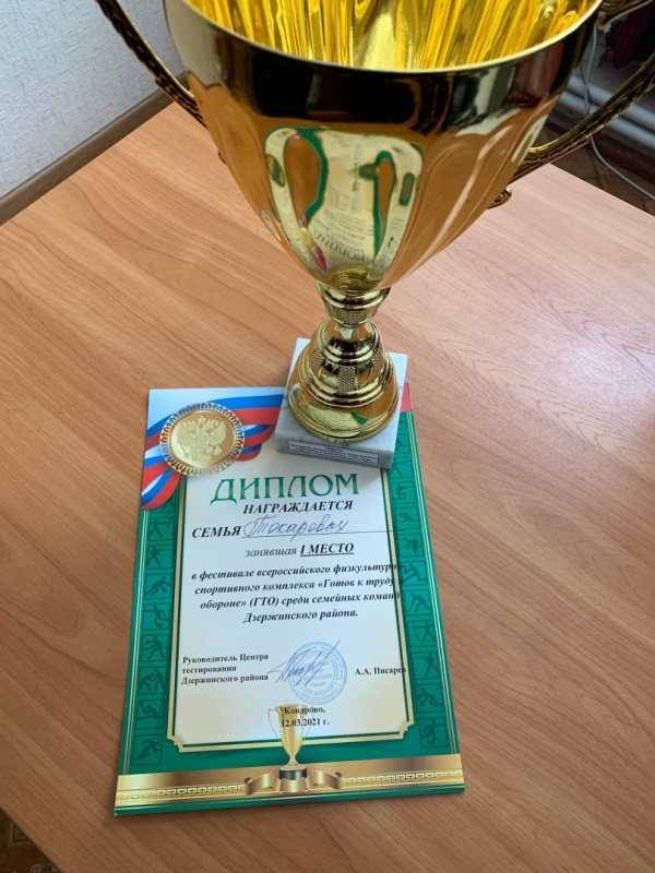 Фестиваль Всероссийского физкультурно-спортивного комплекса "Готов к труду и обороне" (ГТО)