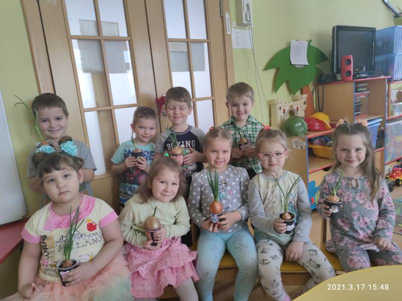 Выращивание лука Лучиками
