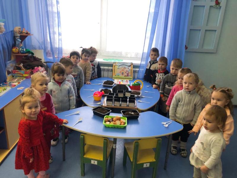 Витамины на подоконнике!