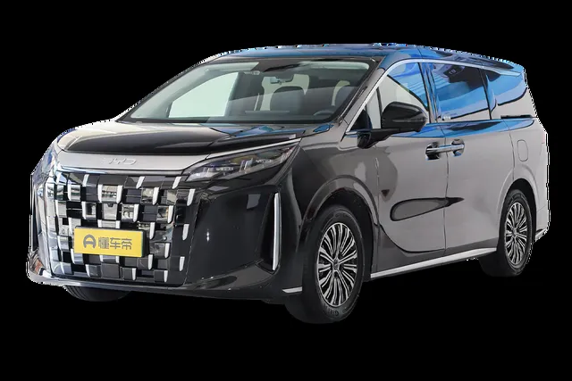 BYD M9 22.98-24.98 — миниатюра 1