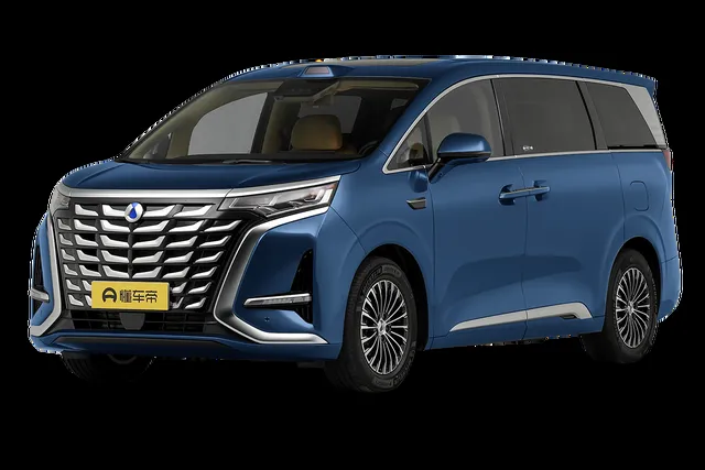 Denza D9 DM 30.98-45.98 — миниатюра 1