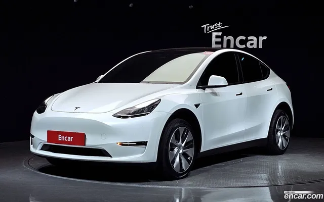 Tesla Model Y AWD — миниатюра 1