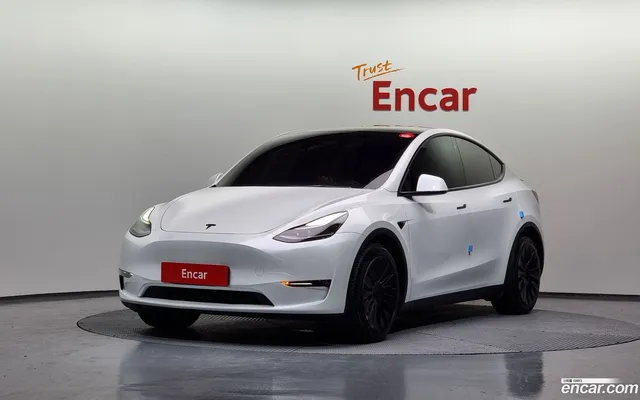Tesla Model Y AWD — миниатюра 1