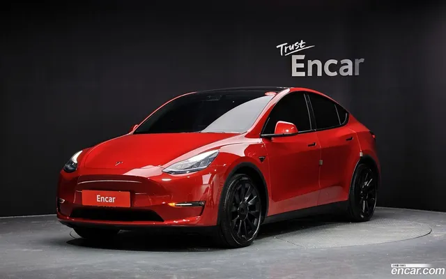 Tesla Model Y AWD — миниатюра 1