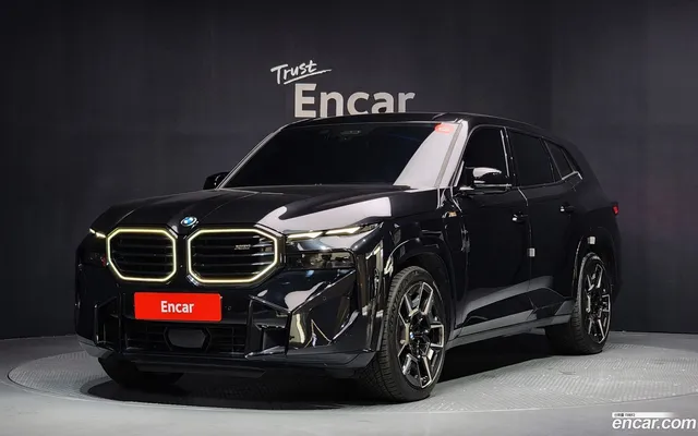 BMW XM (G09) 4.4 — миниатюра 1