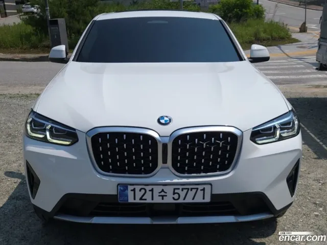 BMW X4 (G02) xDrive20i xLine — миниатюра 1