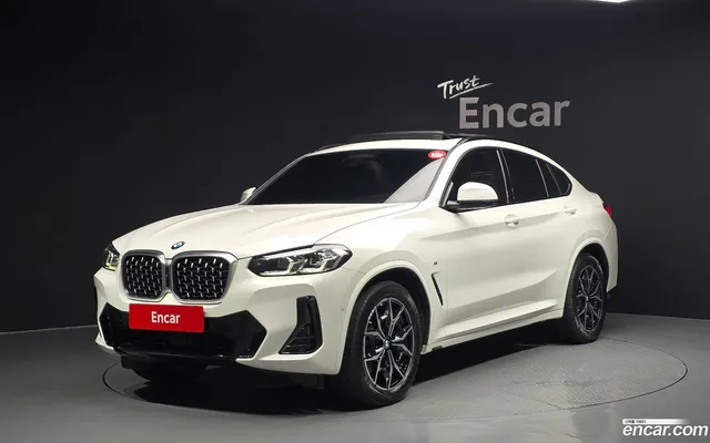 BMW X4 (G02) xDrive20d M — миниатюра 1