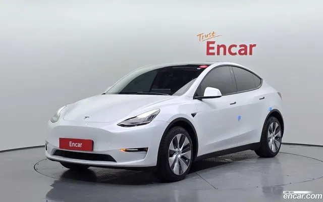 Tesla Model Y AWD — миниатюра 1