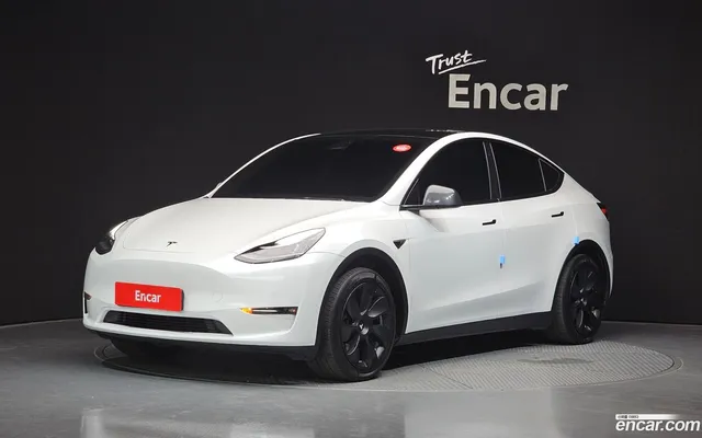 Tesla Model Y RWD — миниатюра 1
