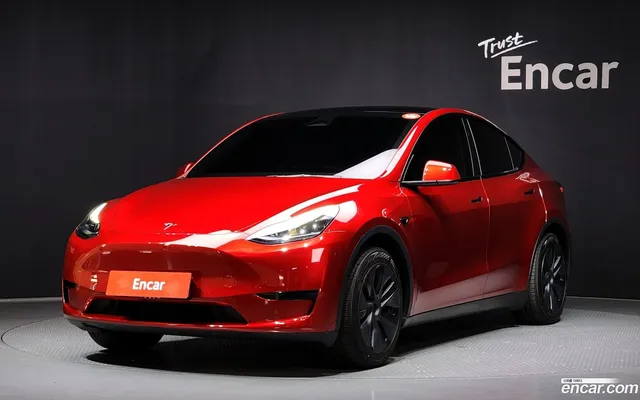 Tesla Model Y RWD — миниатюра 1