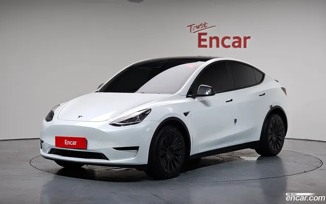 Tesla Model Y AWD — миниатюра 1