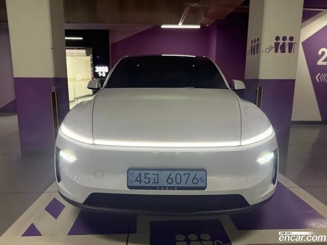 Tesla Model Y RWD — миниатюра 1