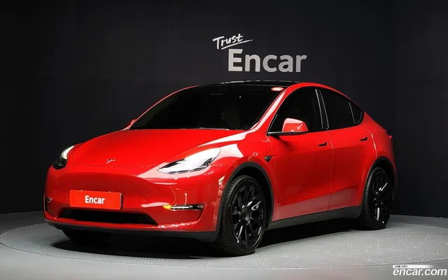 Tesla Model Y AWD — миниатюра 1