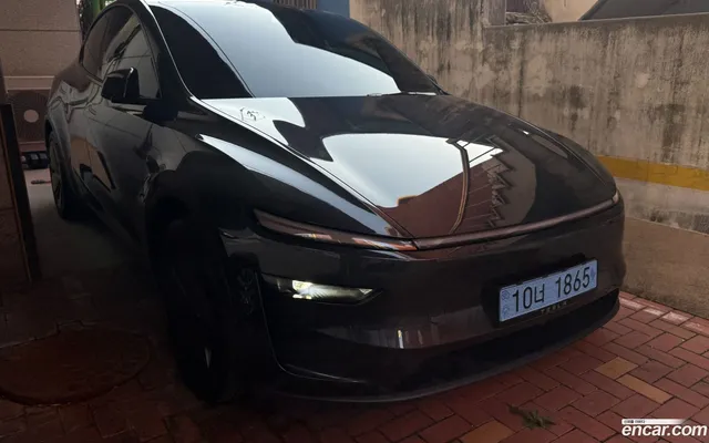 Tesla Model Y AWD — миниатюра 1