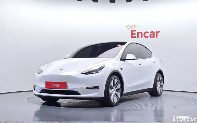 Tesla Model Y AWD — миниатюра 1