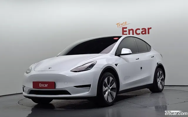 Tesla Model Y RWD — миниатюра 1